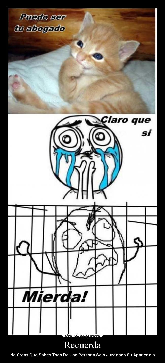 carteles recuerda creas que sabes todo una persona solo juzgando apariencia mierda memes gatito gato desmotivaciones