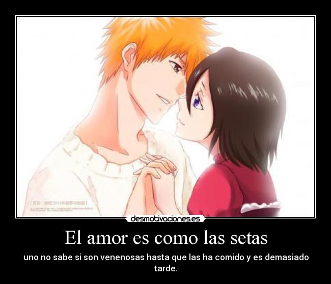 El amor es como las setas - uno no sabe si son venenosas hasta que las ha comido y es demasiado tarde.