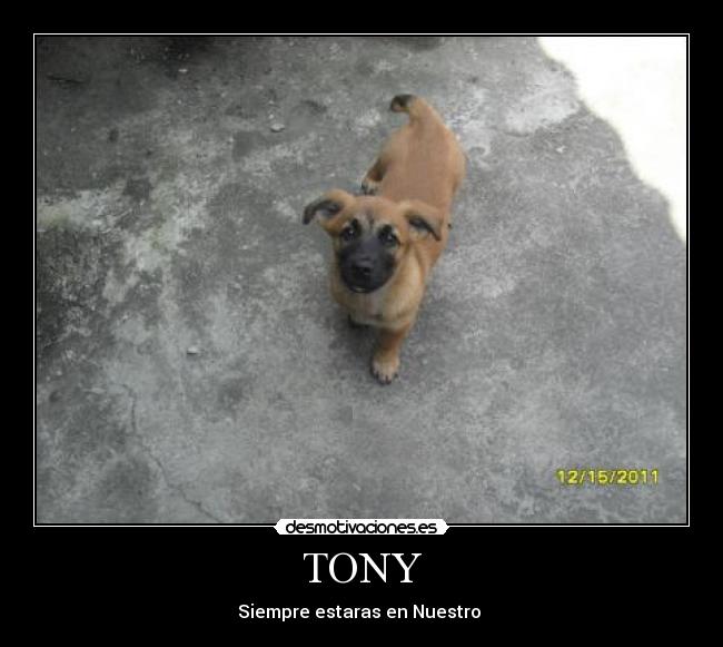 TONY -