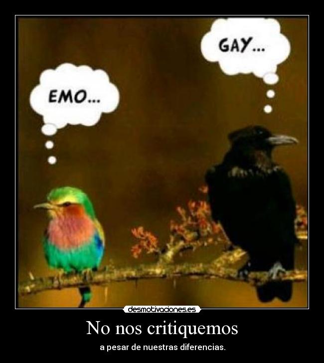 No nos critiquemos - 