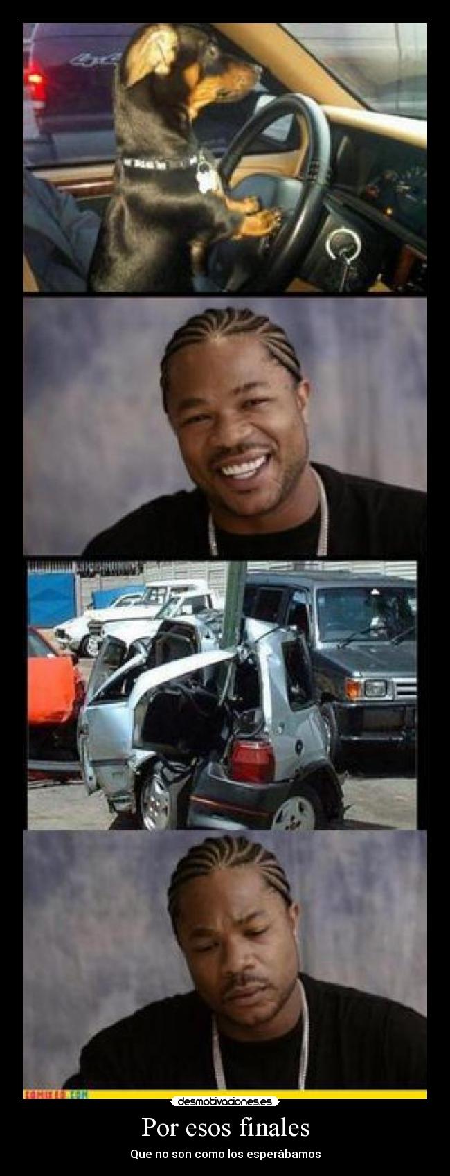 carteles finales perro xzibit desmotivaciones