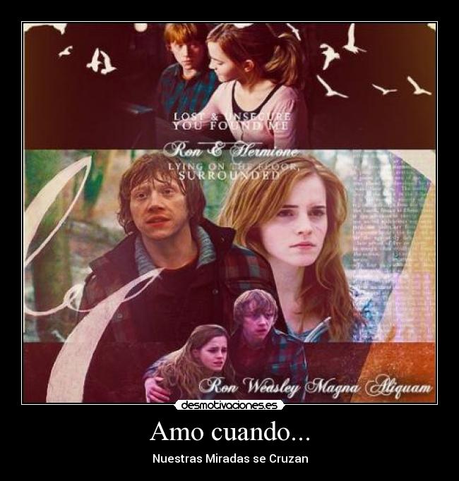 carteles harry potter ron hermione mejor pareja desmotivaciones