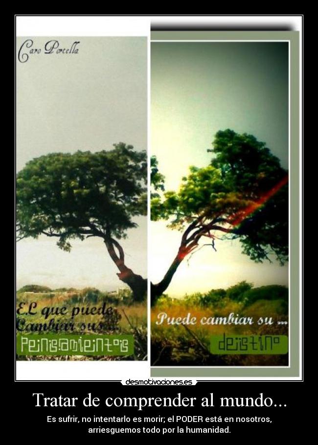 carteles mundo lina bolano vergara desmotivaciones