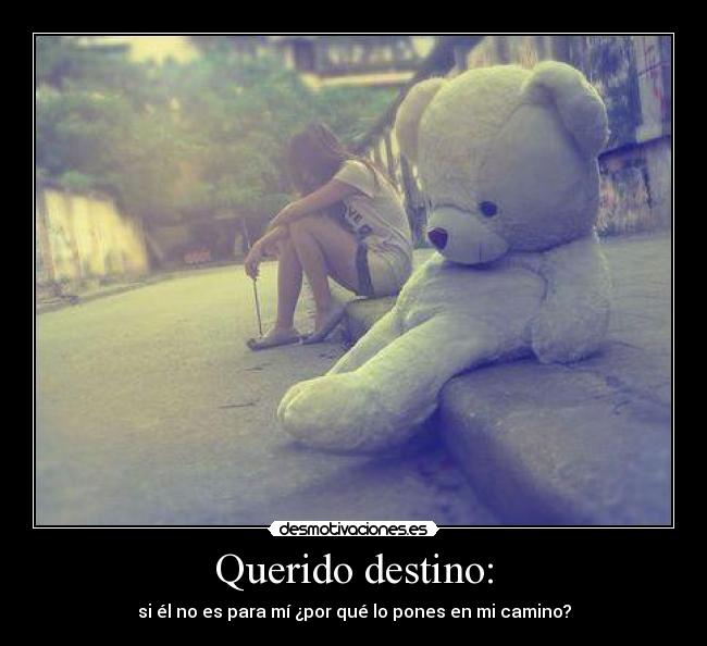 Querido destino: - si él no es para mí ¿por qué lo pones en mi camino?