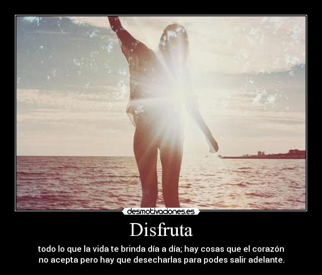 carteles cola desmotivaciones