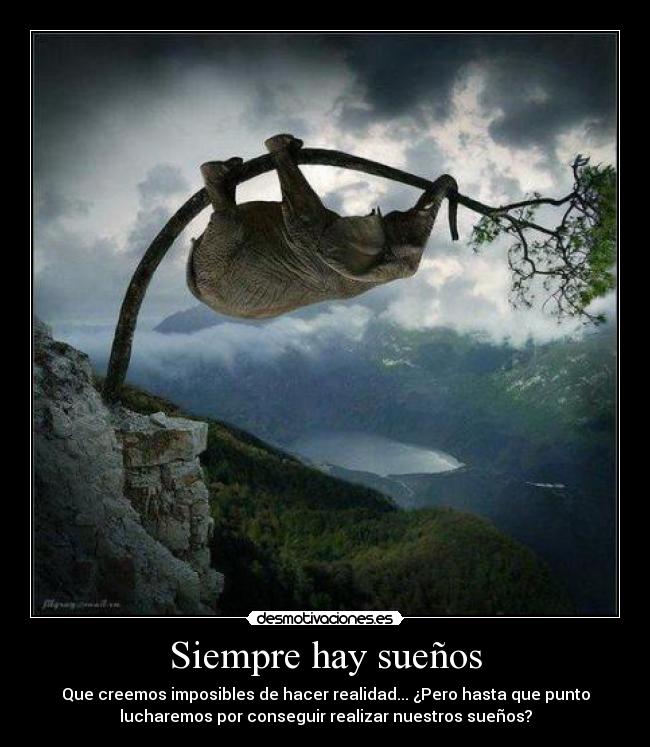 Siempre hay sueños -