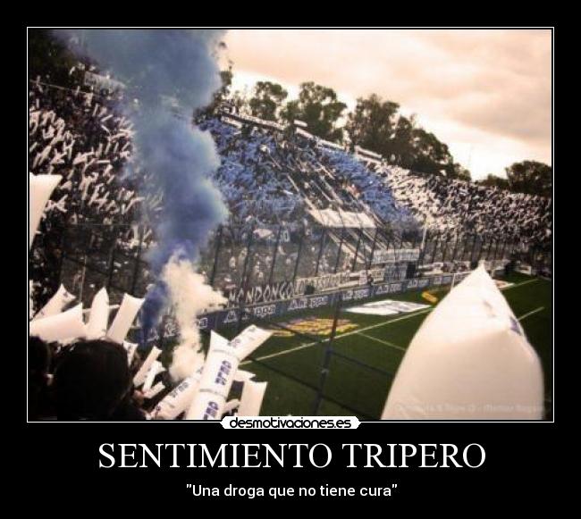 carteles sentimiento tripero desmotivaciones