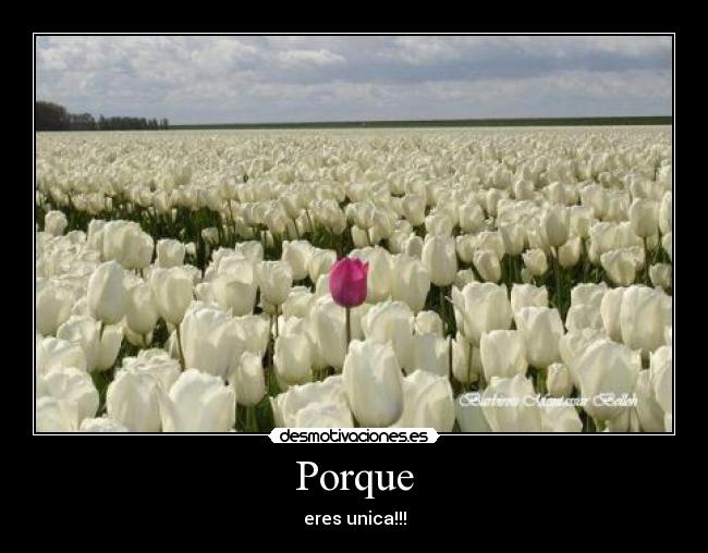 Porque - eres unica!!!
