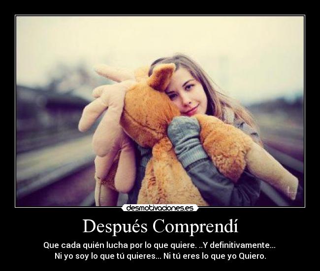 carteles comprender febrero solo luchar querer desamor triste soledad quiero amar desmotivaciones