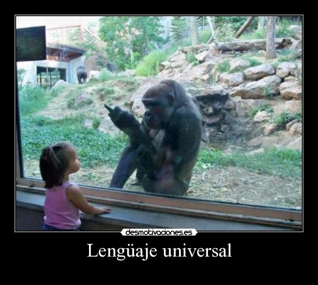Lengüaje universal -