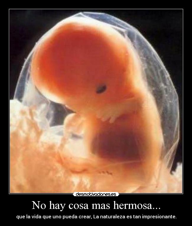 carteles  desmotivaciones