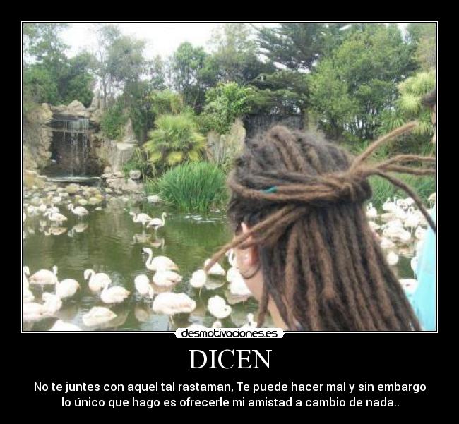 carteles comovos desmotivaciones