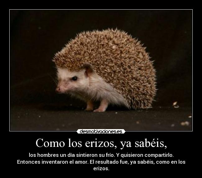 Como los erizos, ya sabéis, - los hombres un día sintieron su frío. Y quisieron compartirlo.
Entonces inventaron el amor. El resultado fue, ya sabéis, como en los
erizos.