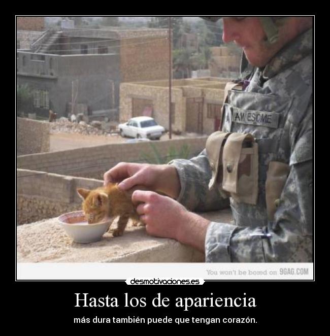 Hasta los de apariencia - más dura también puede que tengan corazón.