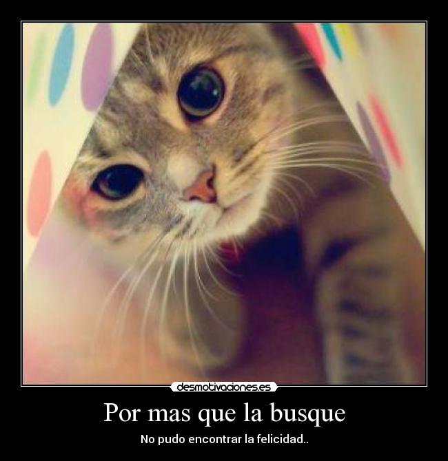 Por mas que la busque - No pudo encontrar la felicidad..