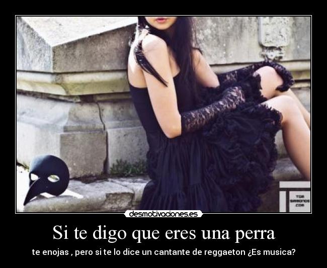 Si te digo que eres una perra - 