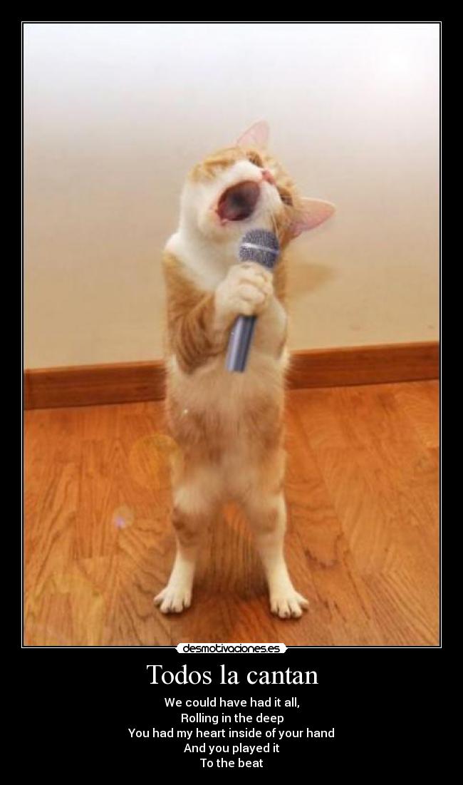 Todos la cantan - We could have had it all,
Rolling in the deep
You had my heart inside of your hand
And you played it
To the beat