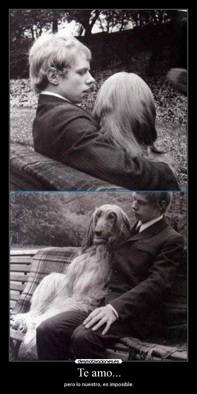 Te amo... - pero lo nuestro, es imposible.