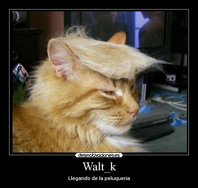 Walt_k - 