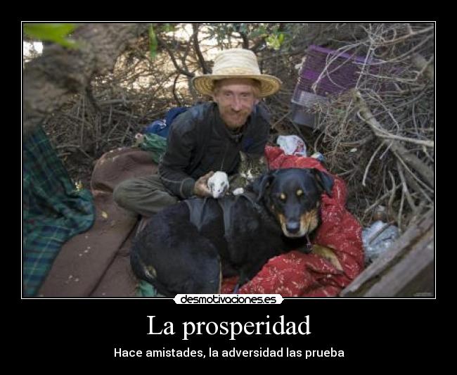 carteles desmotivaciones desmotivaciones