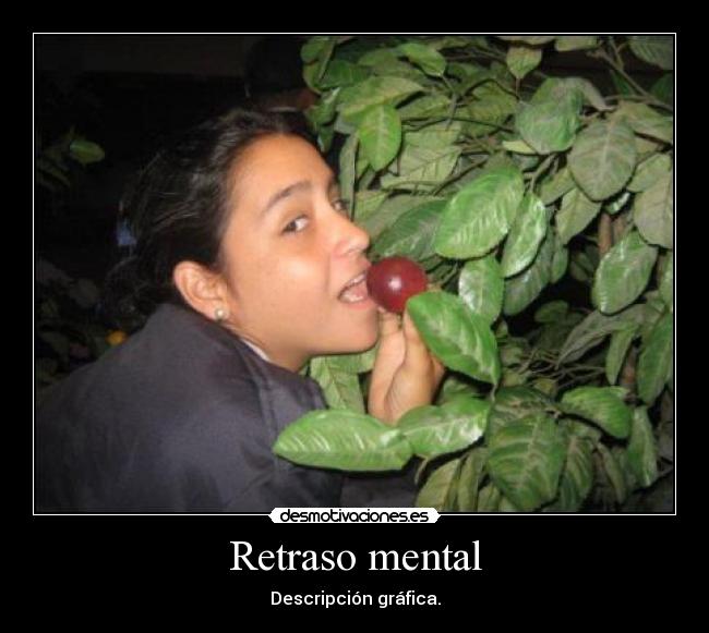 Retraso mental - Descripción gráfica.