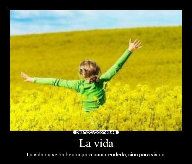 La vida - La vida no se ha hecho para comprenderla, sino para vivirla.