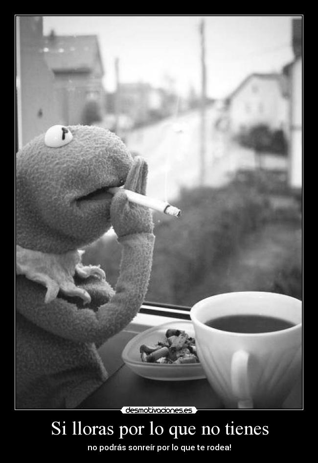 Si lloras por lo que no tienes -