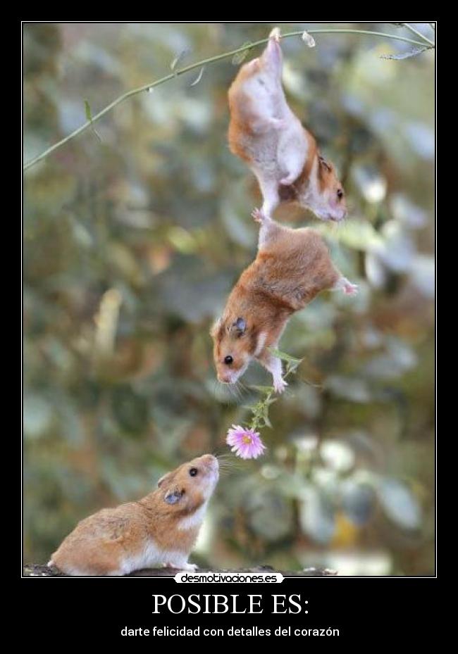 POSIBLE ES: - darte felicidad con detalles del corazón