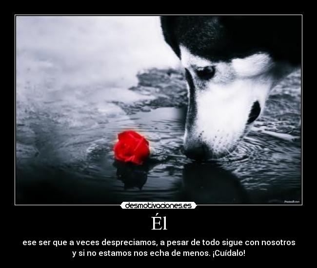 Él - ese ser que a veces despreciamos, a pesar de todo sigue con nosotros
y si no estamos nos echa de menos. ¡Cuídalo!