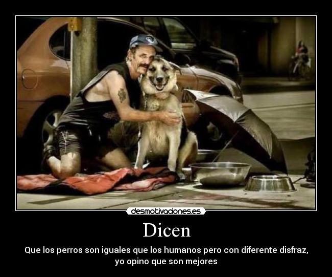 carteles desmotivaciones desmotivaciones