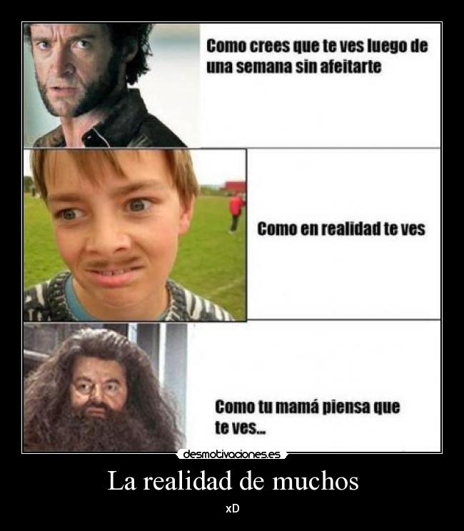 La realidad de muchos -