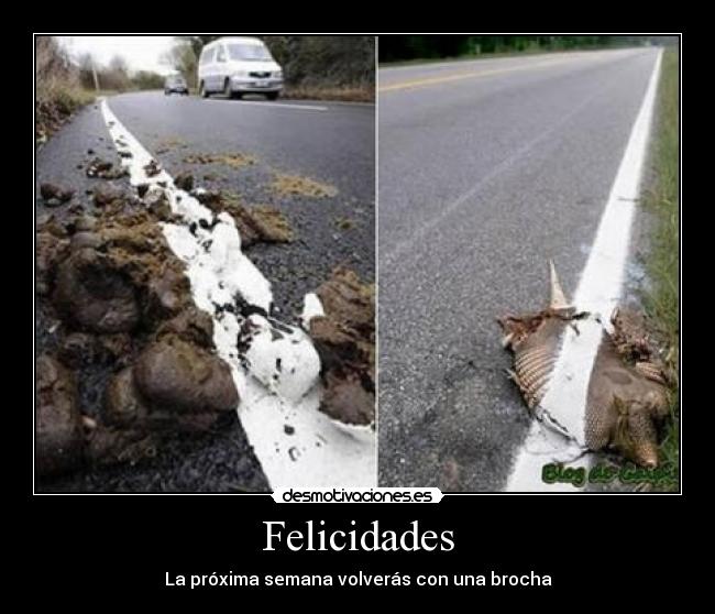 Felicidades - La próxima semana volverás con una brocha