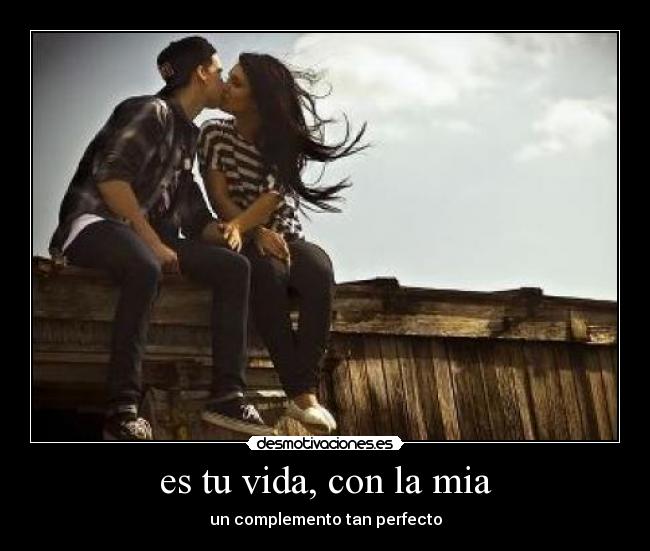 carteles vida tany fairy desmotivaciones