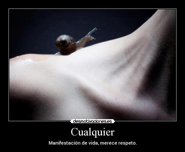 Cualquier - Manifestación de vida, merece respeto.