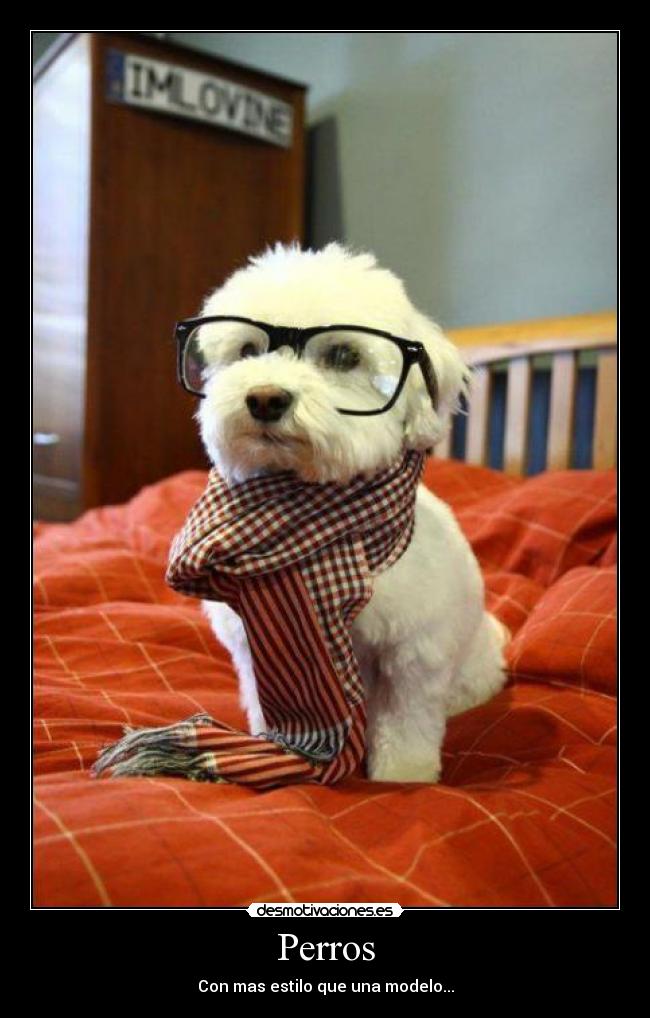 Perros -