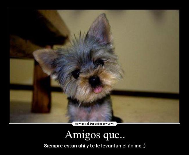 Amigos que.. -