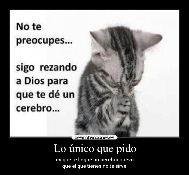Lo único que pido - es que te llegue un cerebro nuevo
que el que tienes no te sirve.
