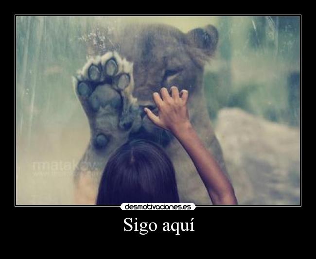 Sigo aquí -