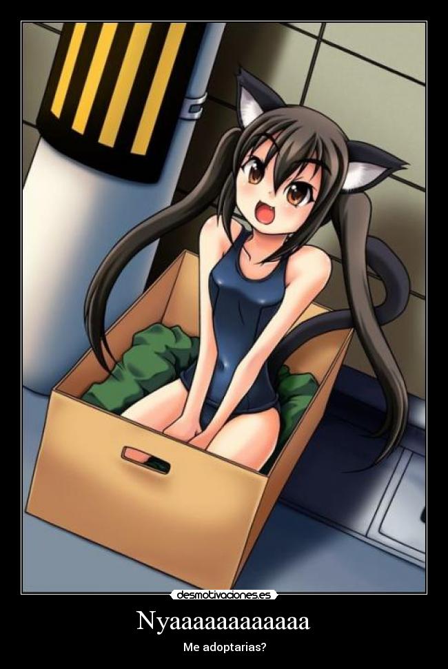 carteles nya anime neko desmotivaciones