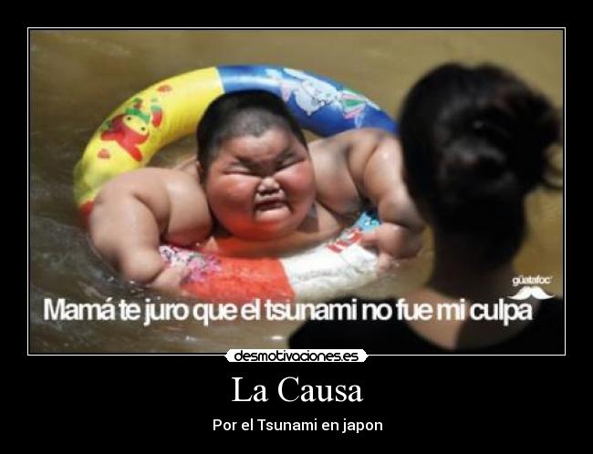 carteles habras hecho tsunami desmotivaciones