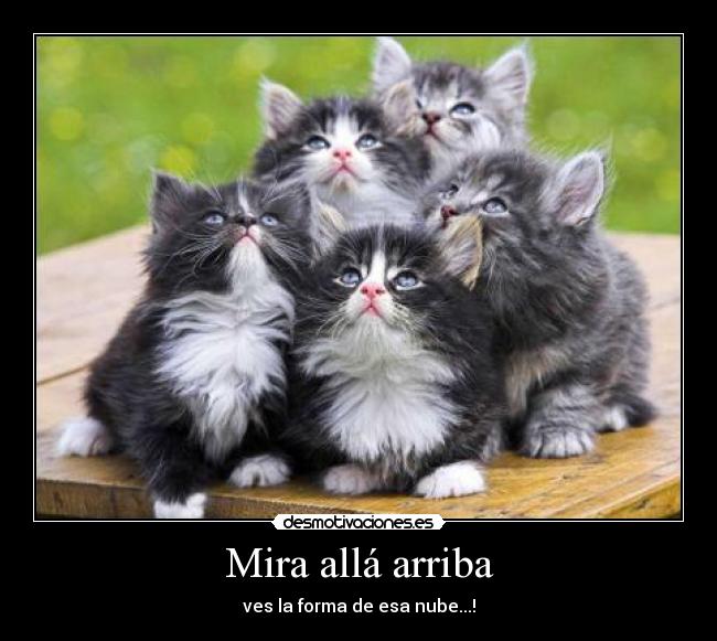 Mira allá arriba - ves la forma de esa nube...!