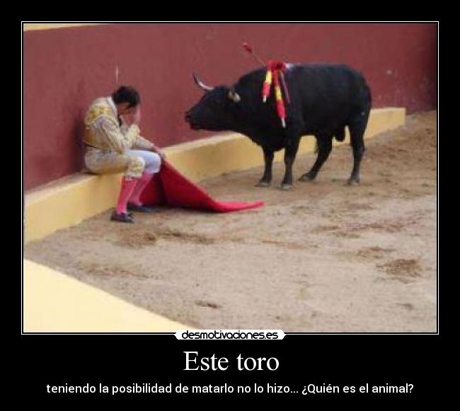 Este toro -