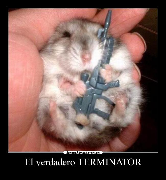 El verdadero TERMINATOR -