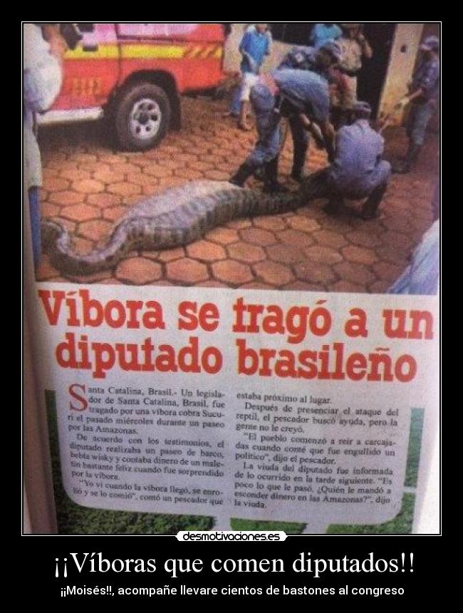 ¡¡Víboras que comen diputados!! - ¡¡Moisés!!, acompañe llevare cientos de bastones al congreso