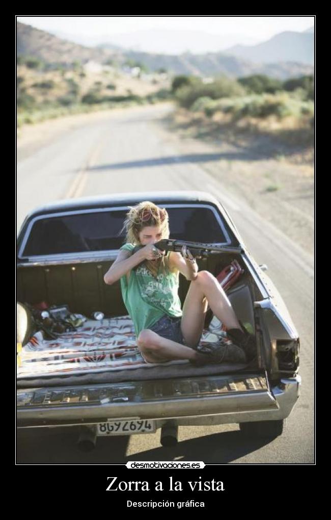 Zorra a la vista - Descripción gráfica