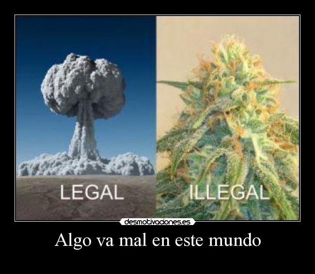 carteles mundo legal illegal desmotivaciones