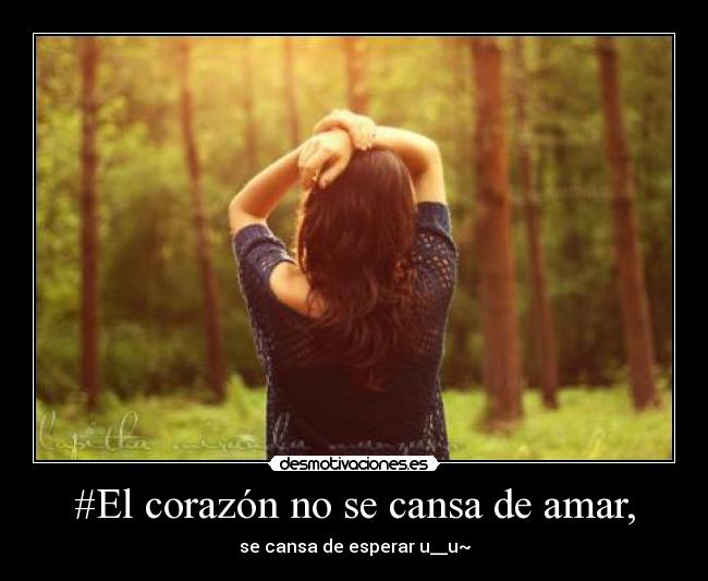 #El corazón no se cansa de amar, - 