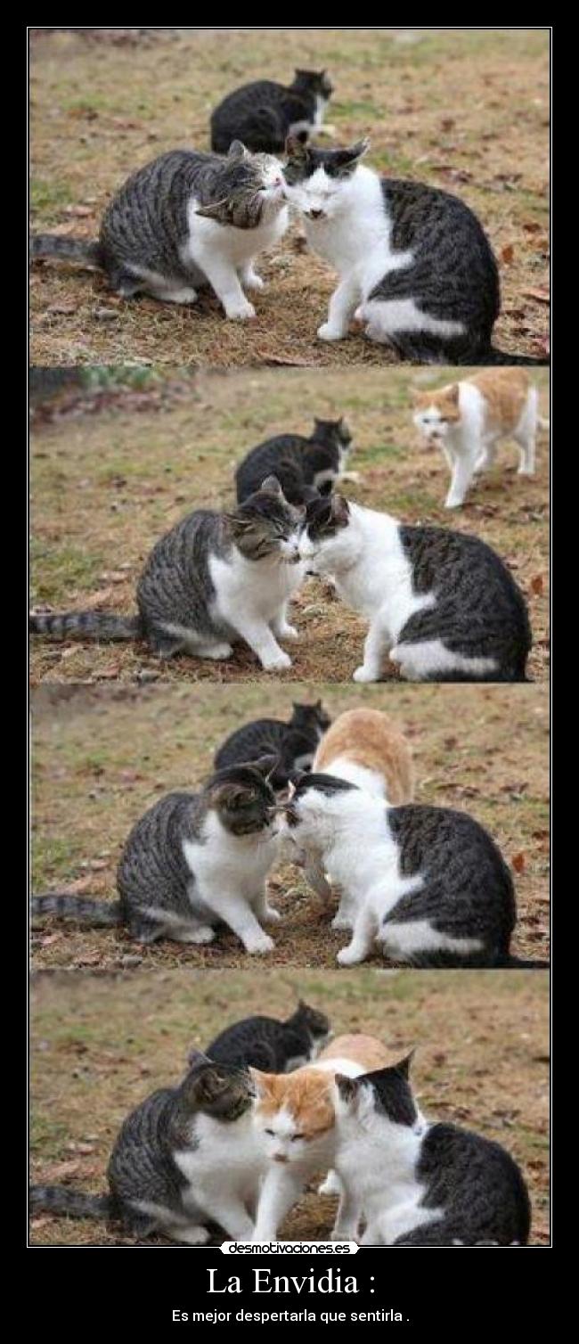 carteles envidia desmotivaciones