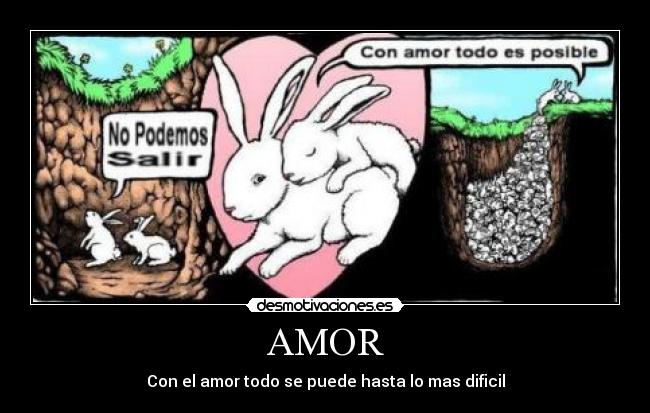 AMOR - 