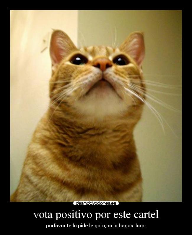 vota positivo por este cartel - 